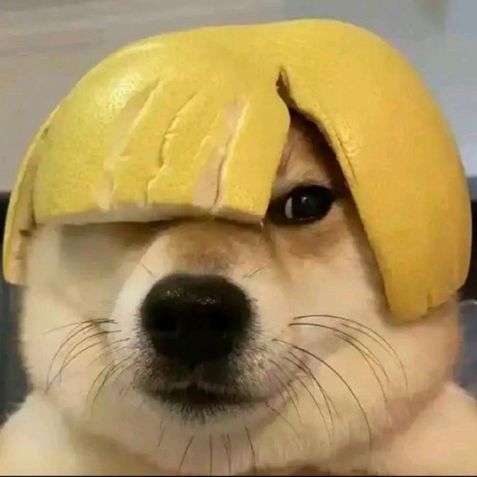 张能能