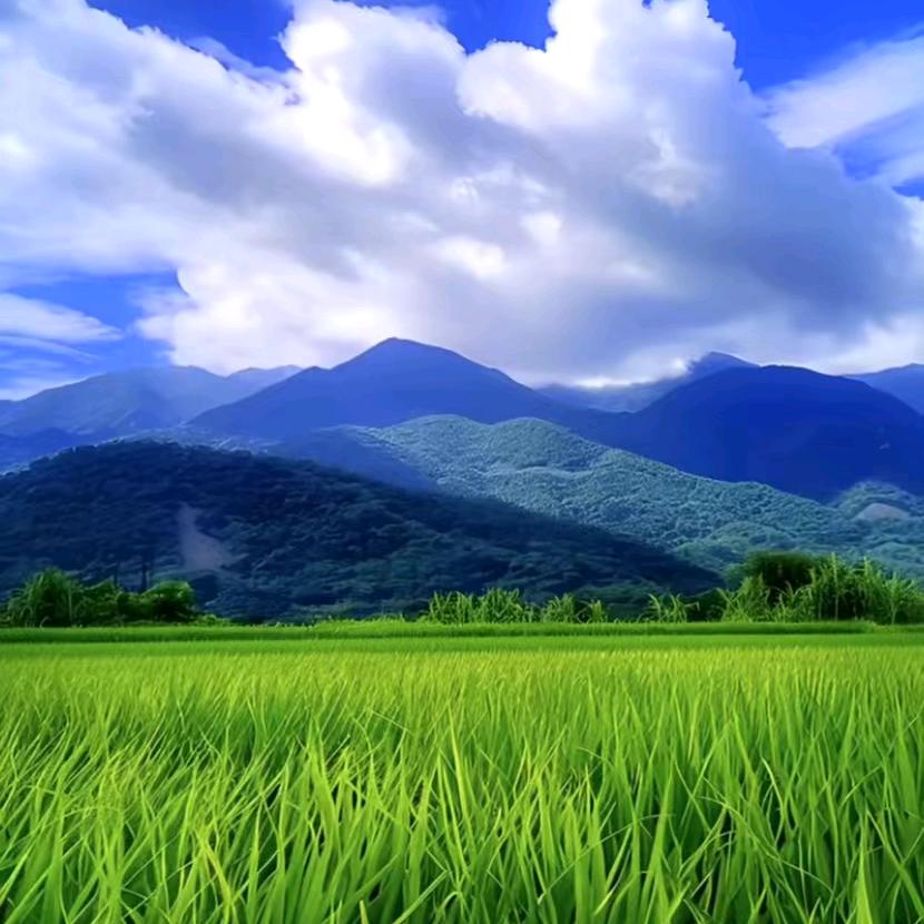 砥砺前行（格林巴利康复中）