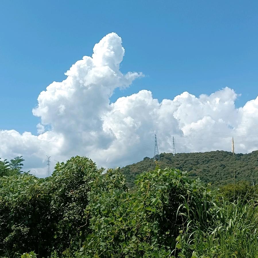 一个人的天荒地老