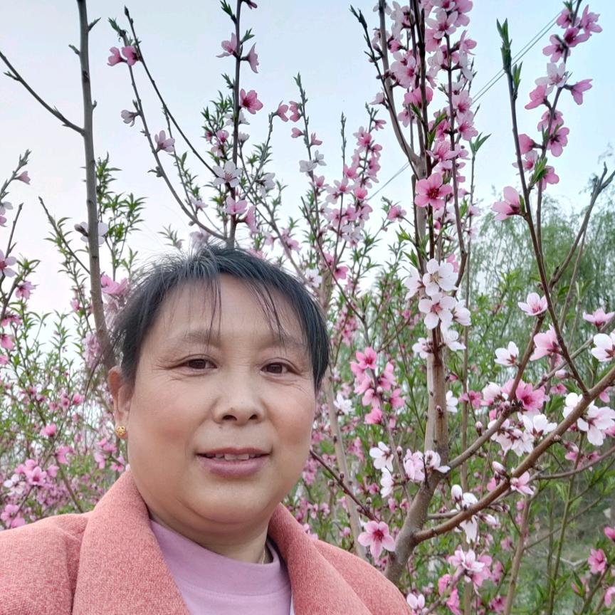 高大姐