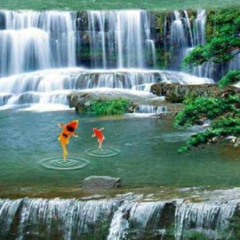 ╭(╯ε╰)╮郑一二╭(╯ε╰)╮