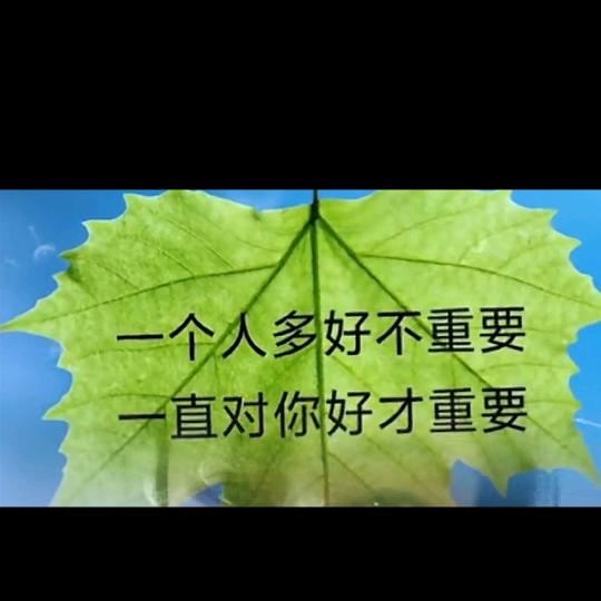 你的世界我曾来过