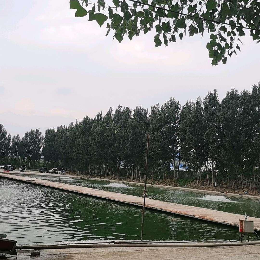 河北衡跃垂钓中心