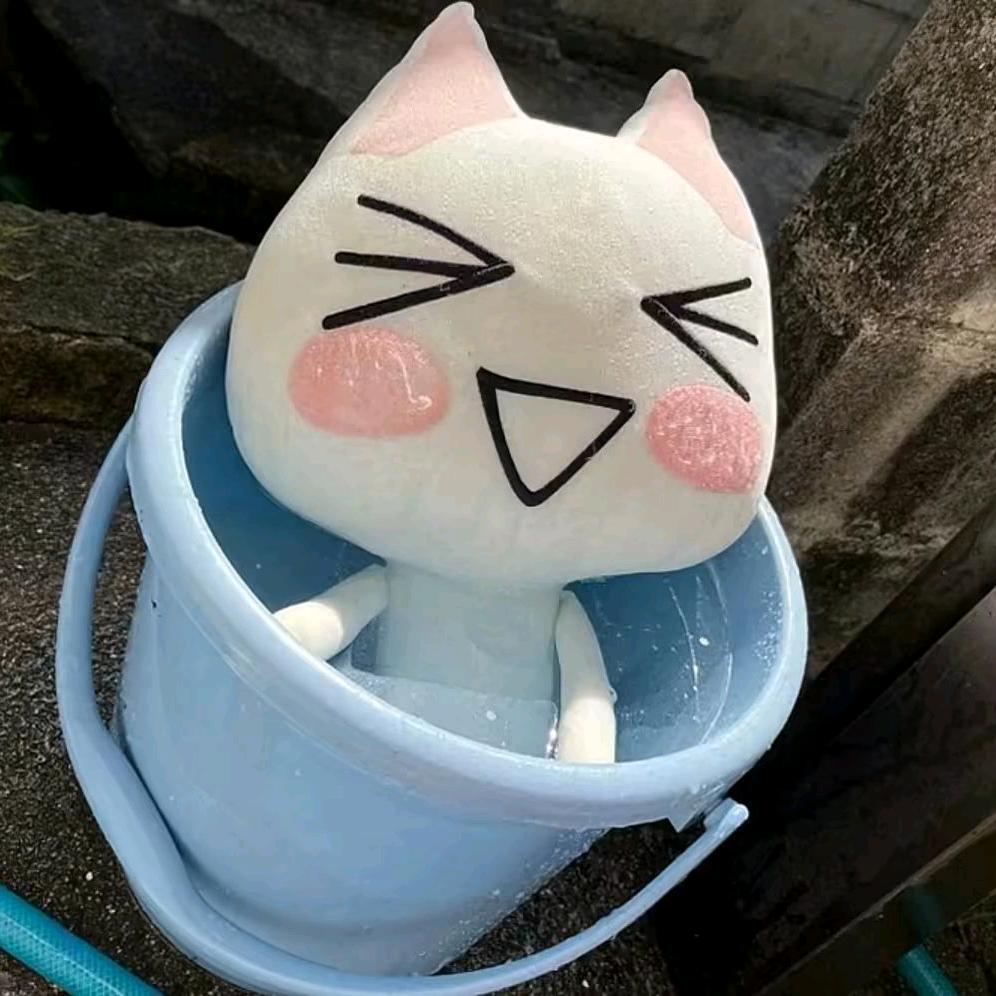 小岛