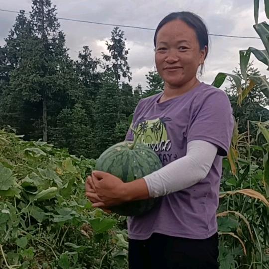阿莲