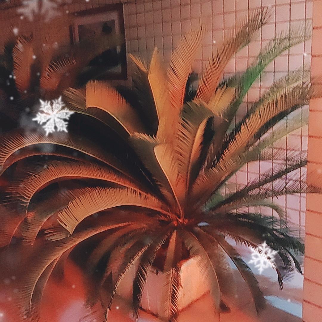 建国的日常