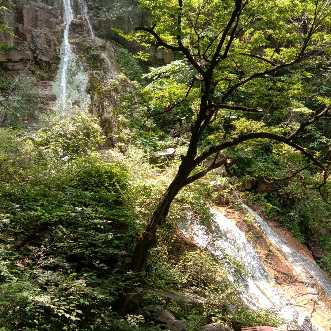 郑默是金
