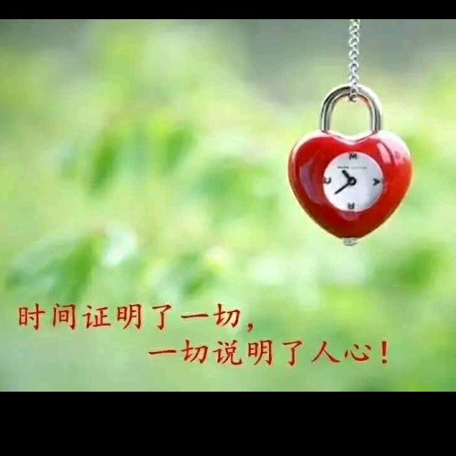 罗兰       〖72年的老鼠〗