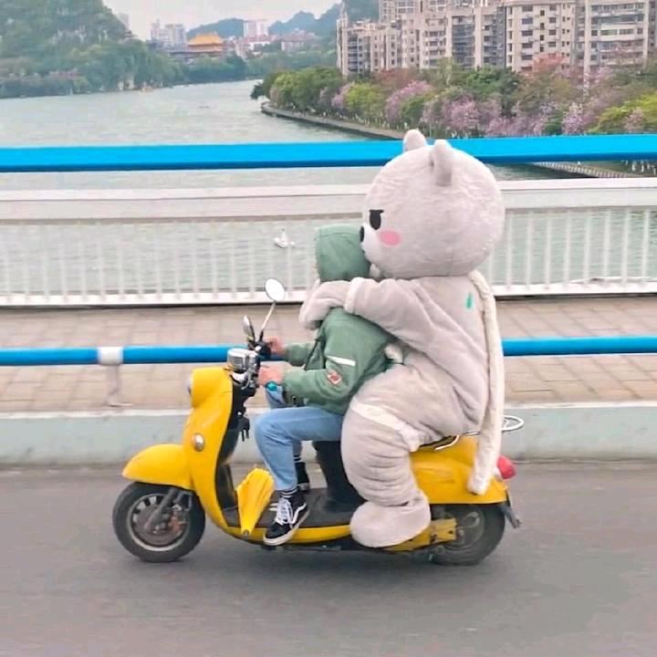 大笨熊夏天