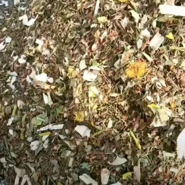 婚姻介绍所