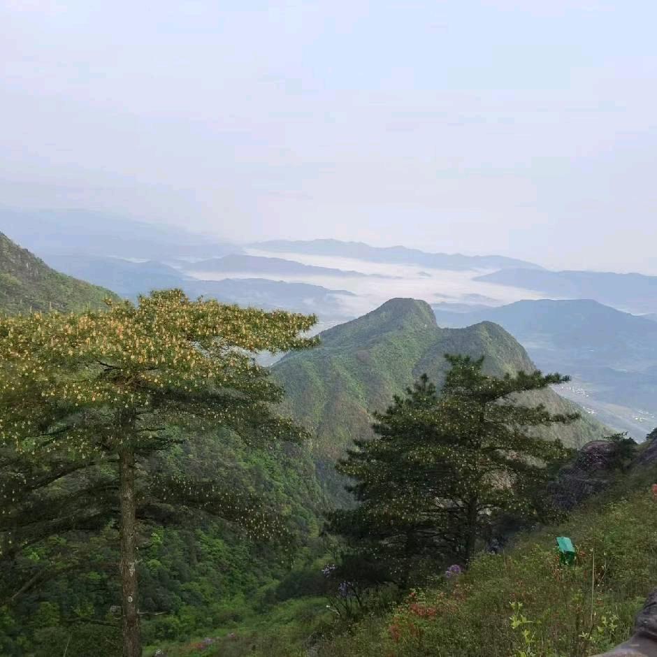 张老师助升学