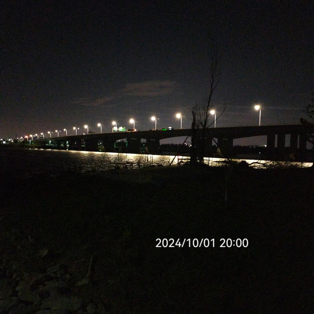 喂鱼大师佩琪🎣🎣