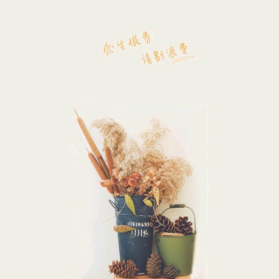 〆༄ㄔ主銗馀珄࿐ゾ