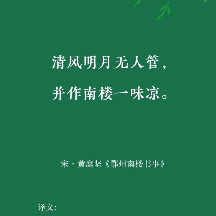 老宋有话说