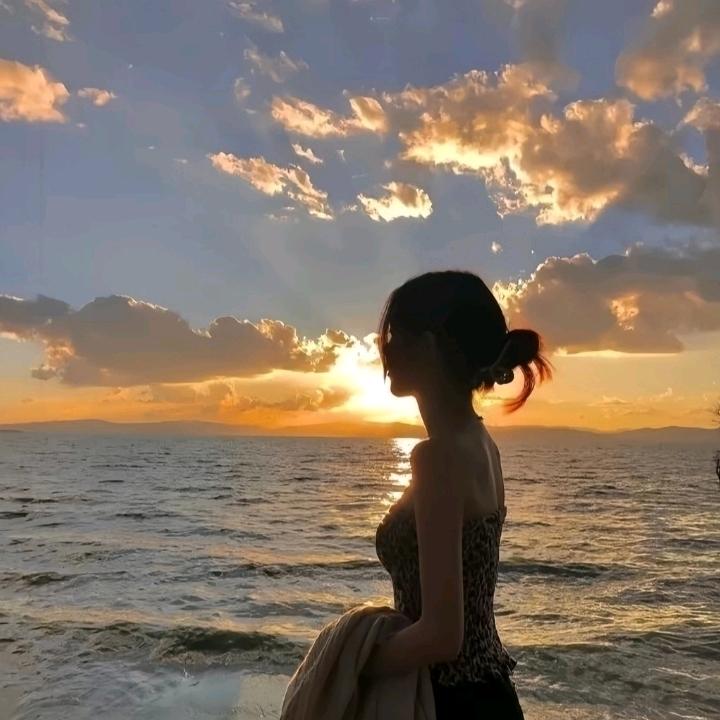 鱼の浪漫
