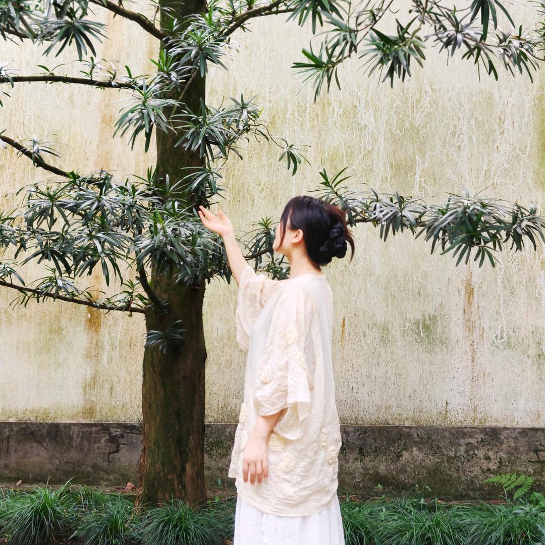 白芷