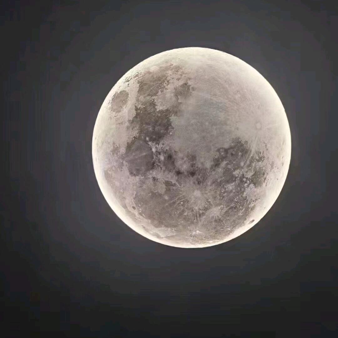 崽崽晚安