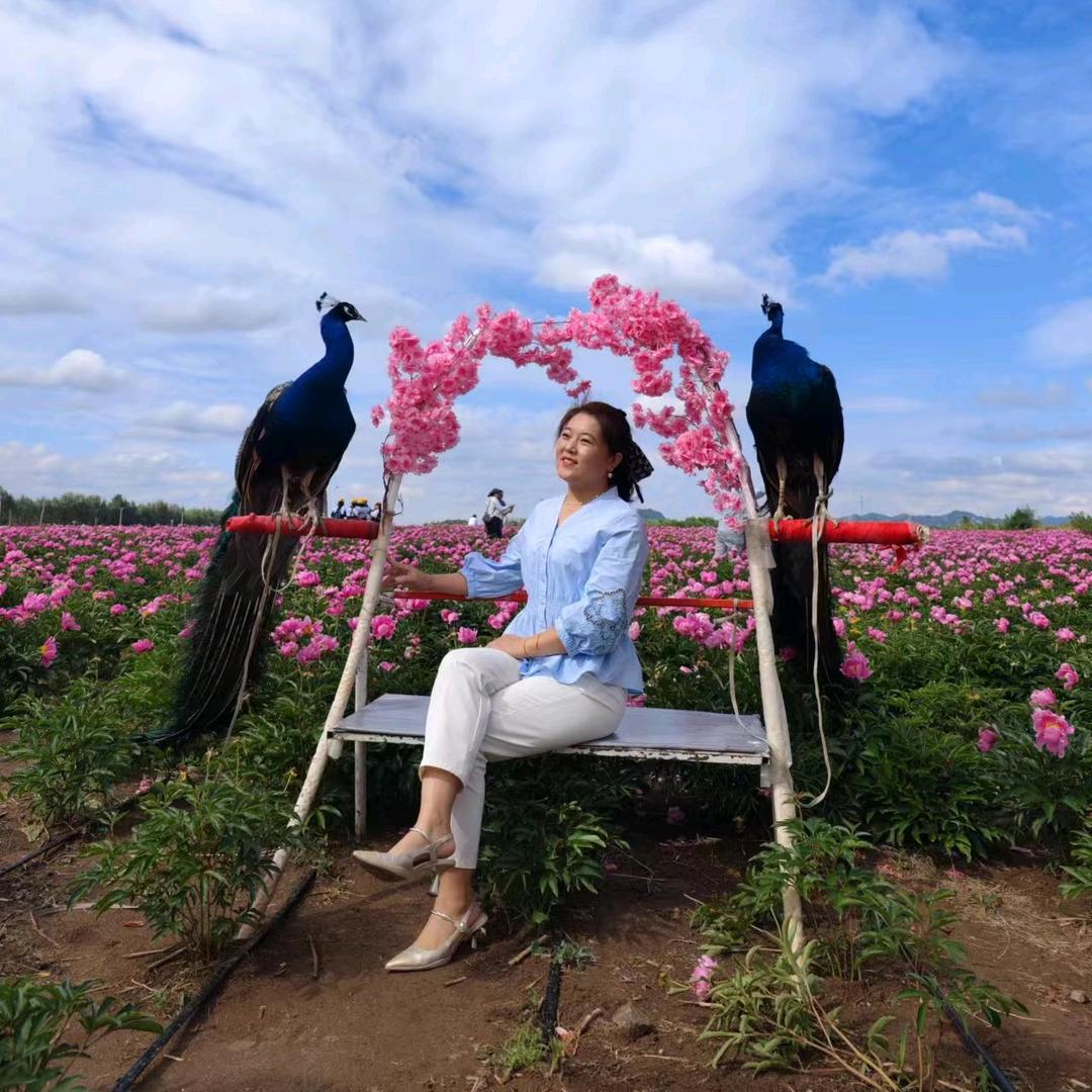 波波姐🌸