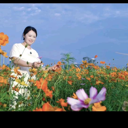 小陈姐