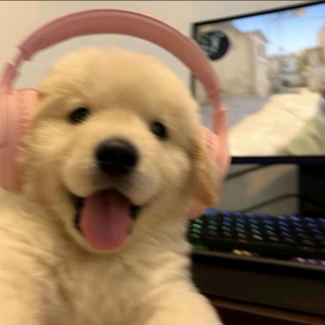 坐车犯困