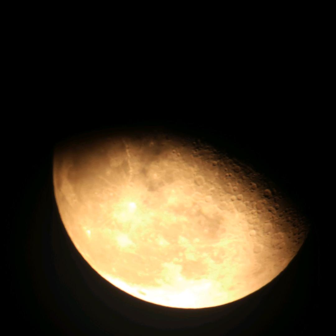 宜兴珑玉杜仲茶