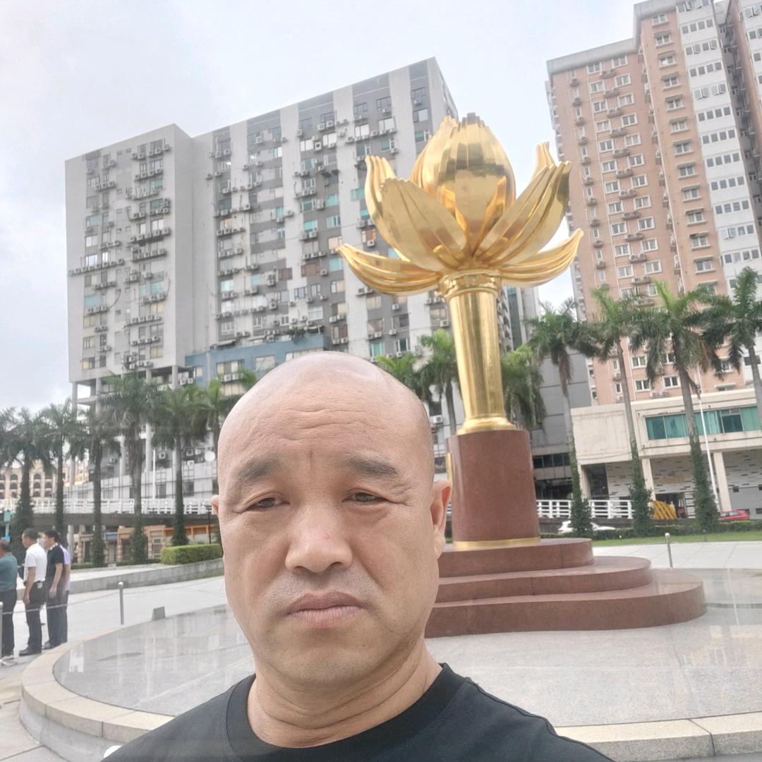 洛辰