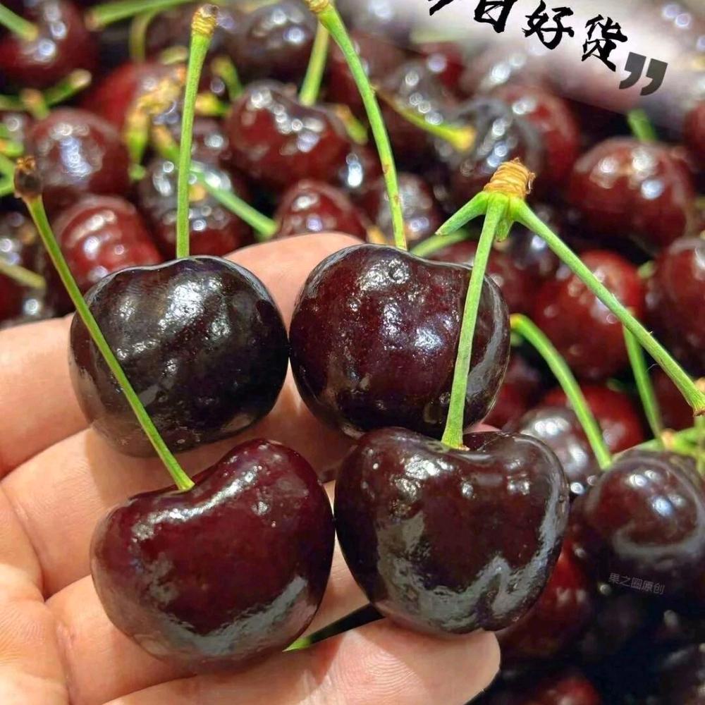 搬砖去了