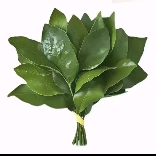 挡刀