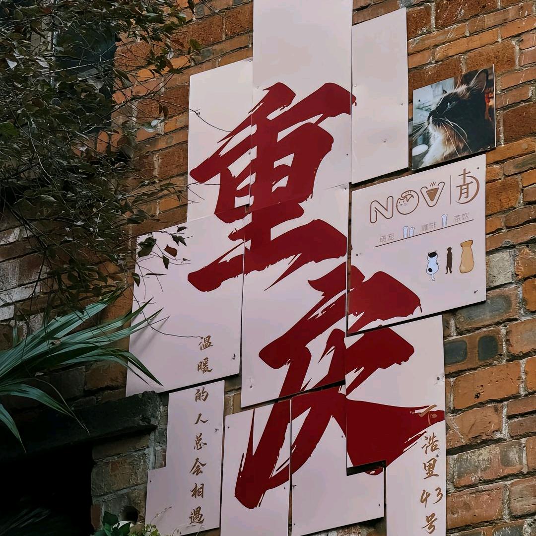 涛姐吃喝玩乐