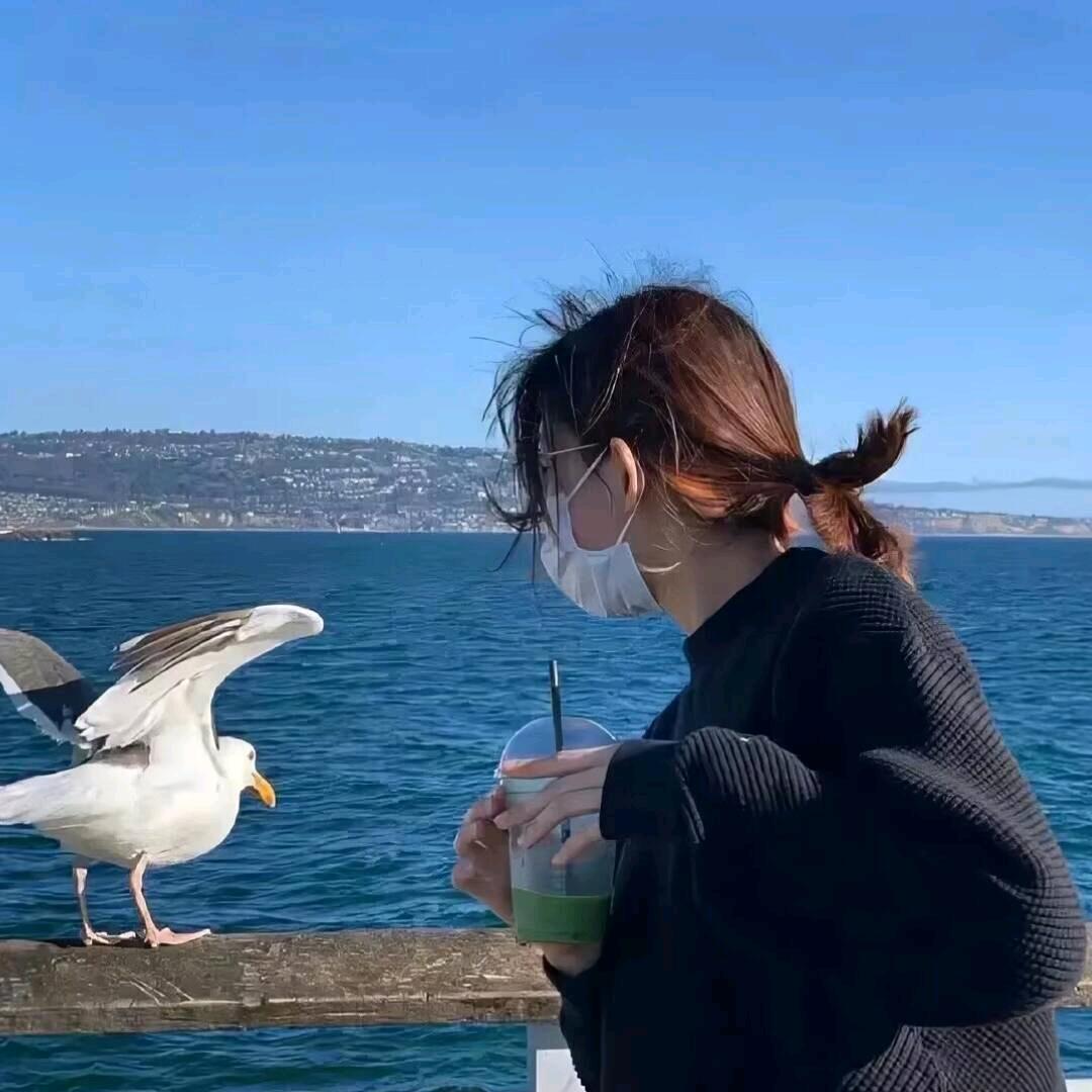 衡阳师范学院浅念学姐（注页有👗）