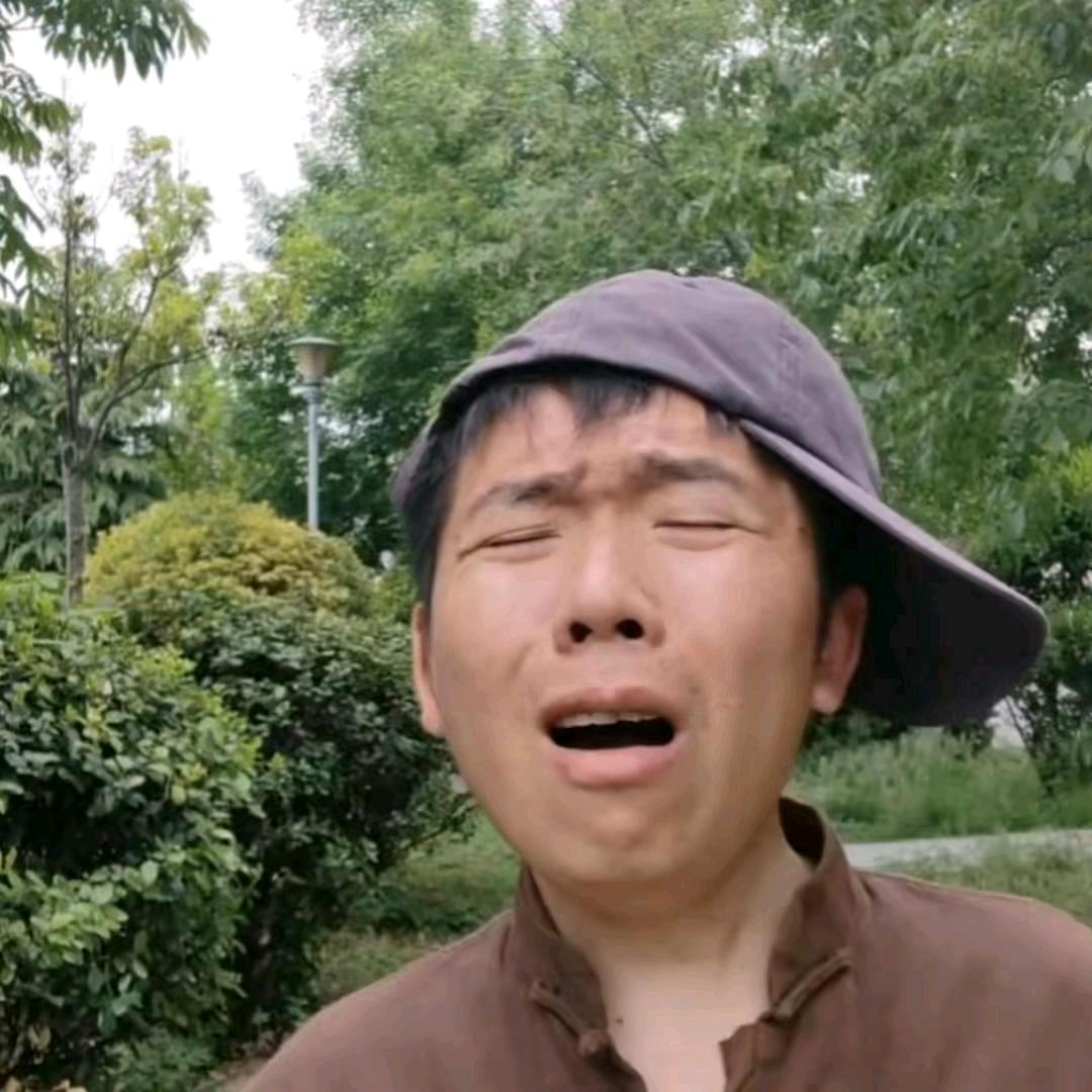 农村二蛋
