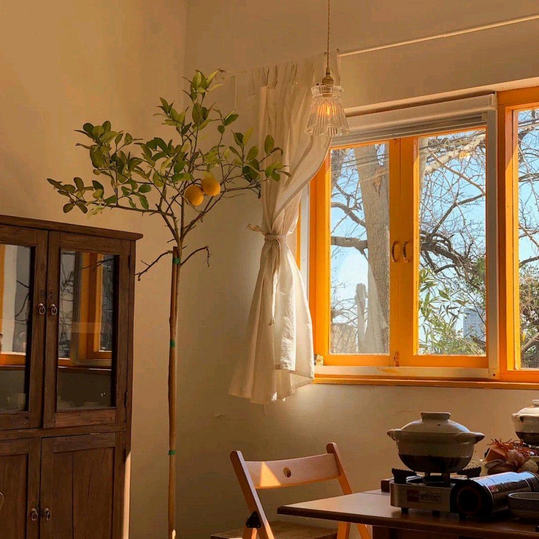 小姚带你玩儿🌤️