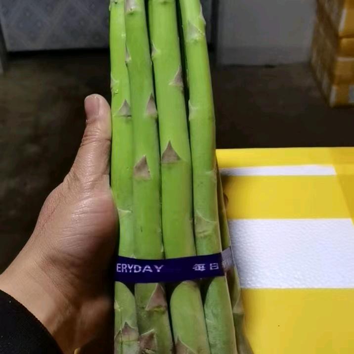 李一锋