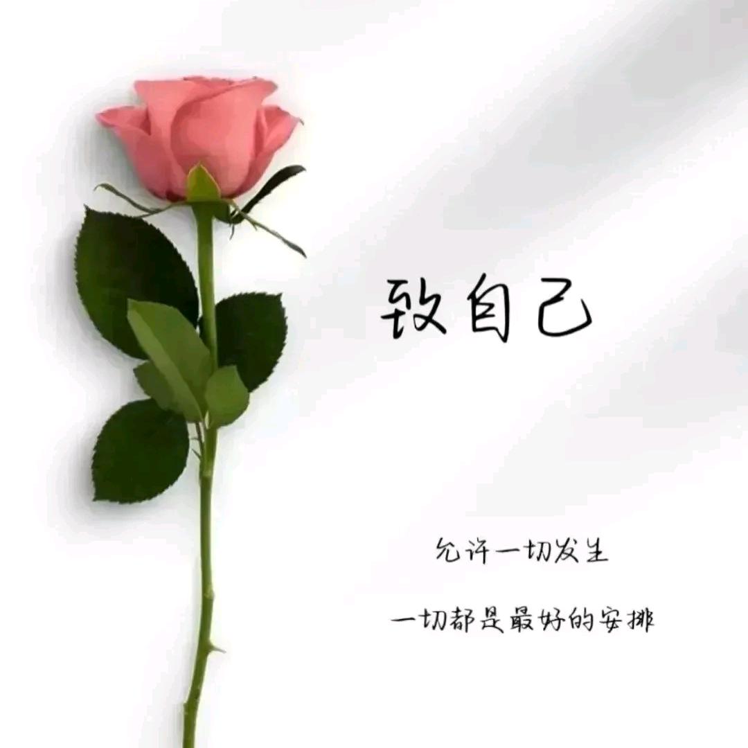 思前想后