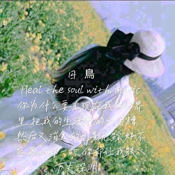 🕊️罗luo🕊️