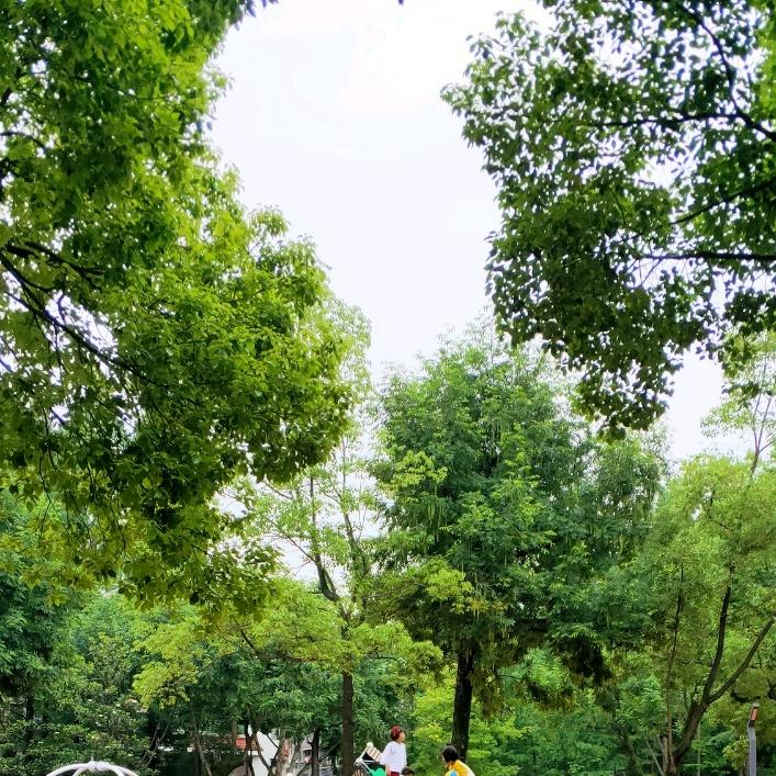 ☘️如心♥♥如意☘️