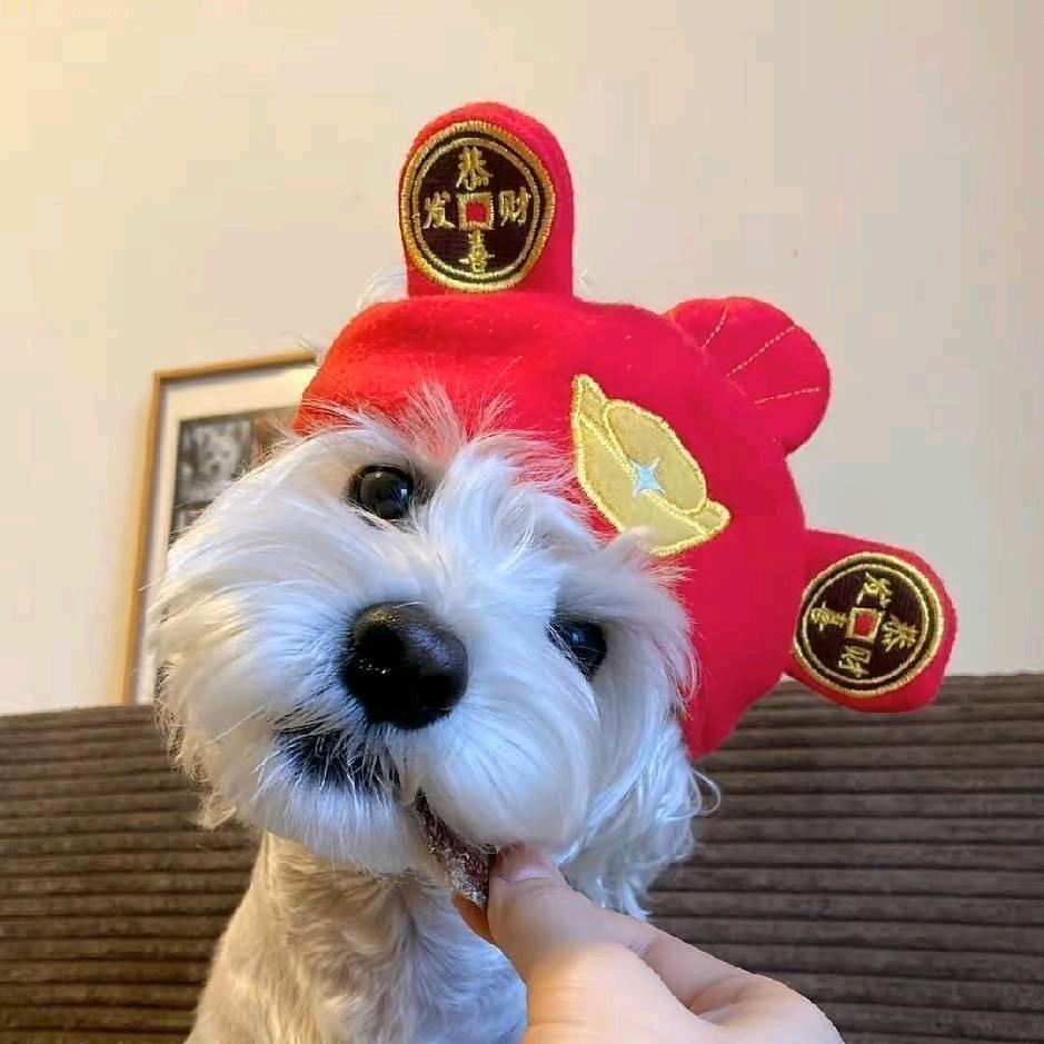 金刚铁锤妹