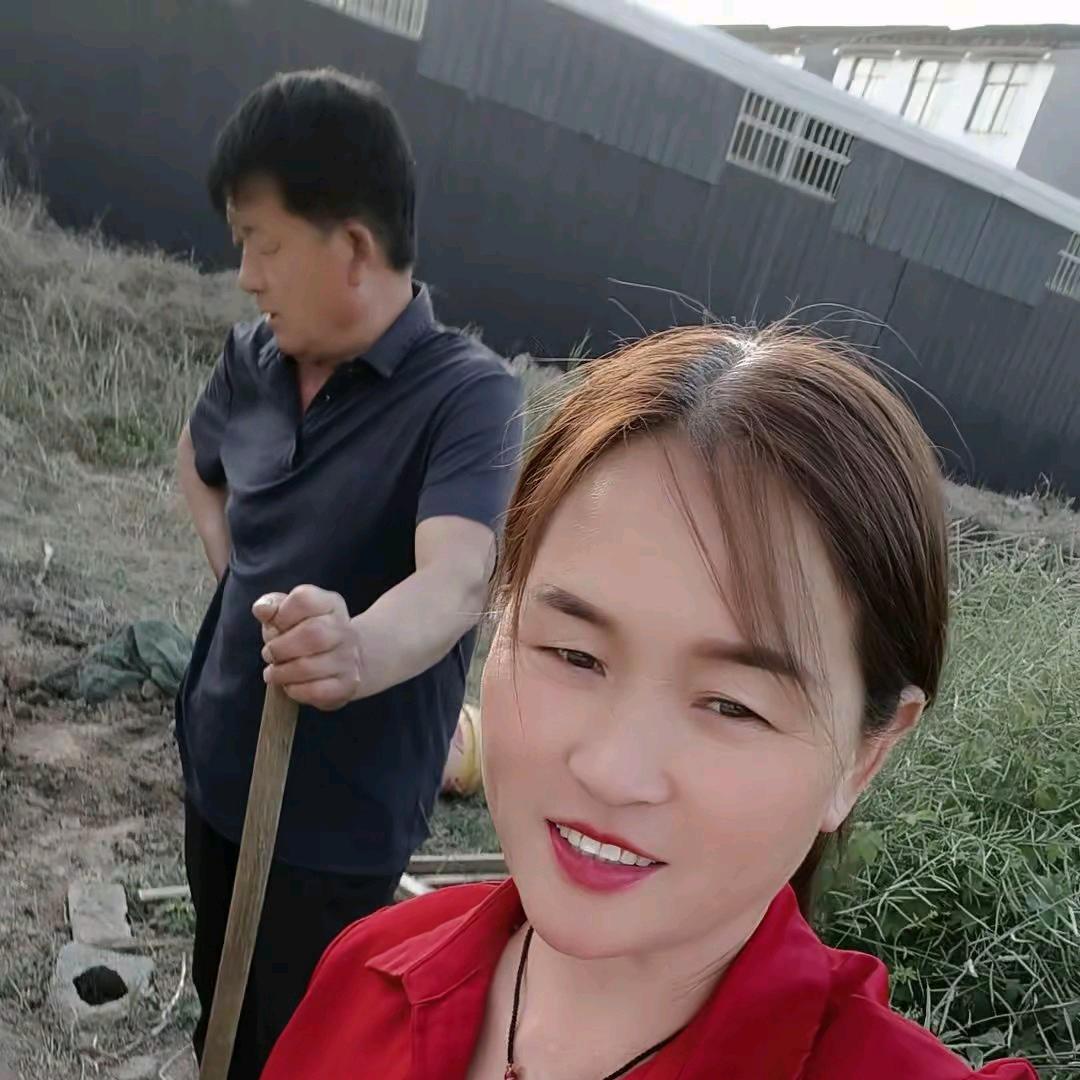 天天好心情