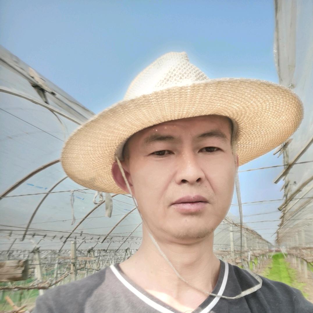 高无海