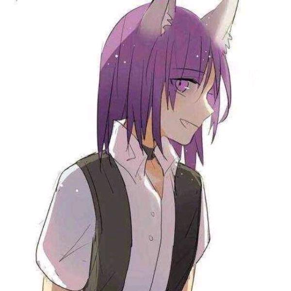 贪嘴猫i