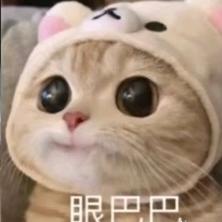张啊张