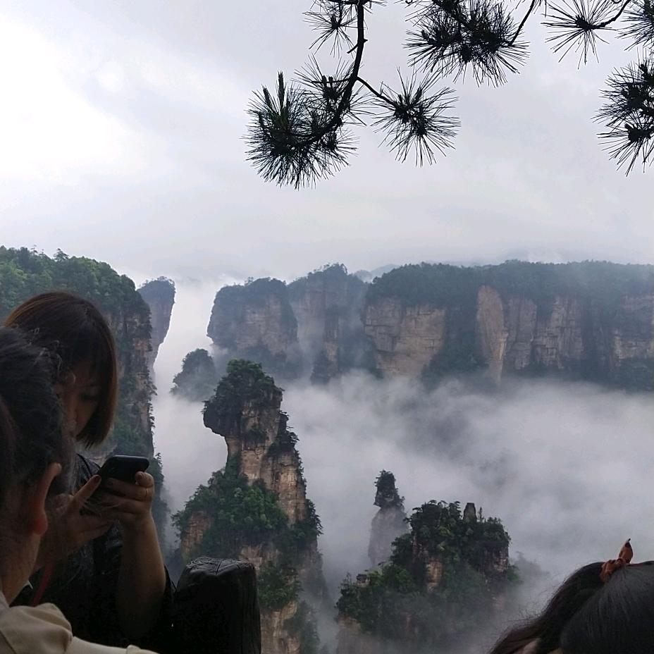 人生苦短及时行乐