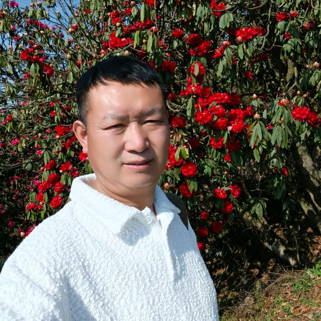 花山歌