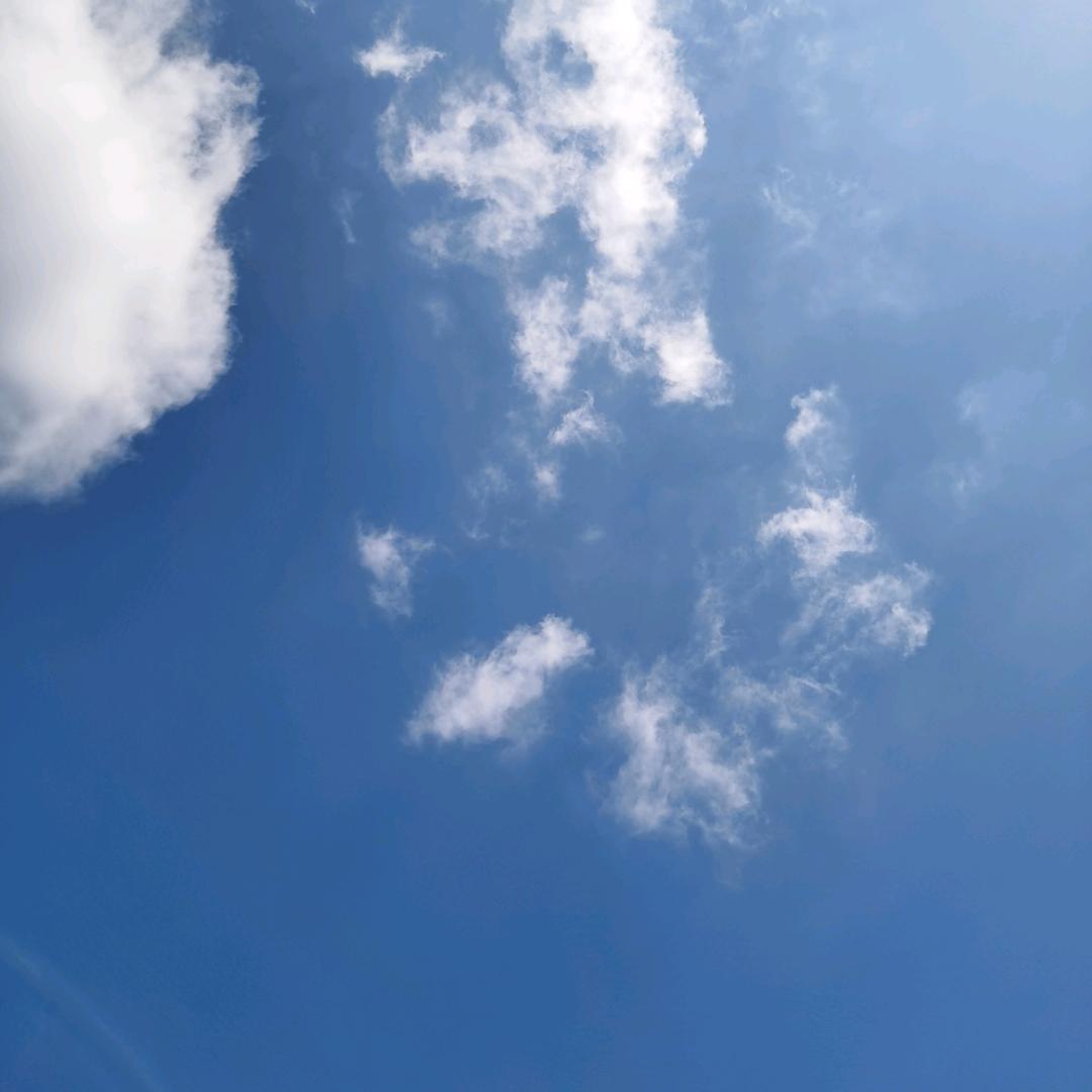 大白
