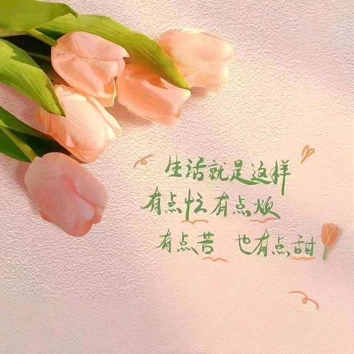 🥭芒果姐姐