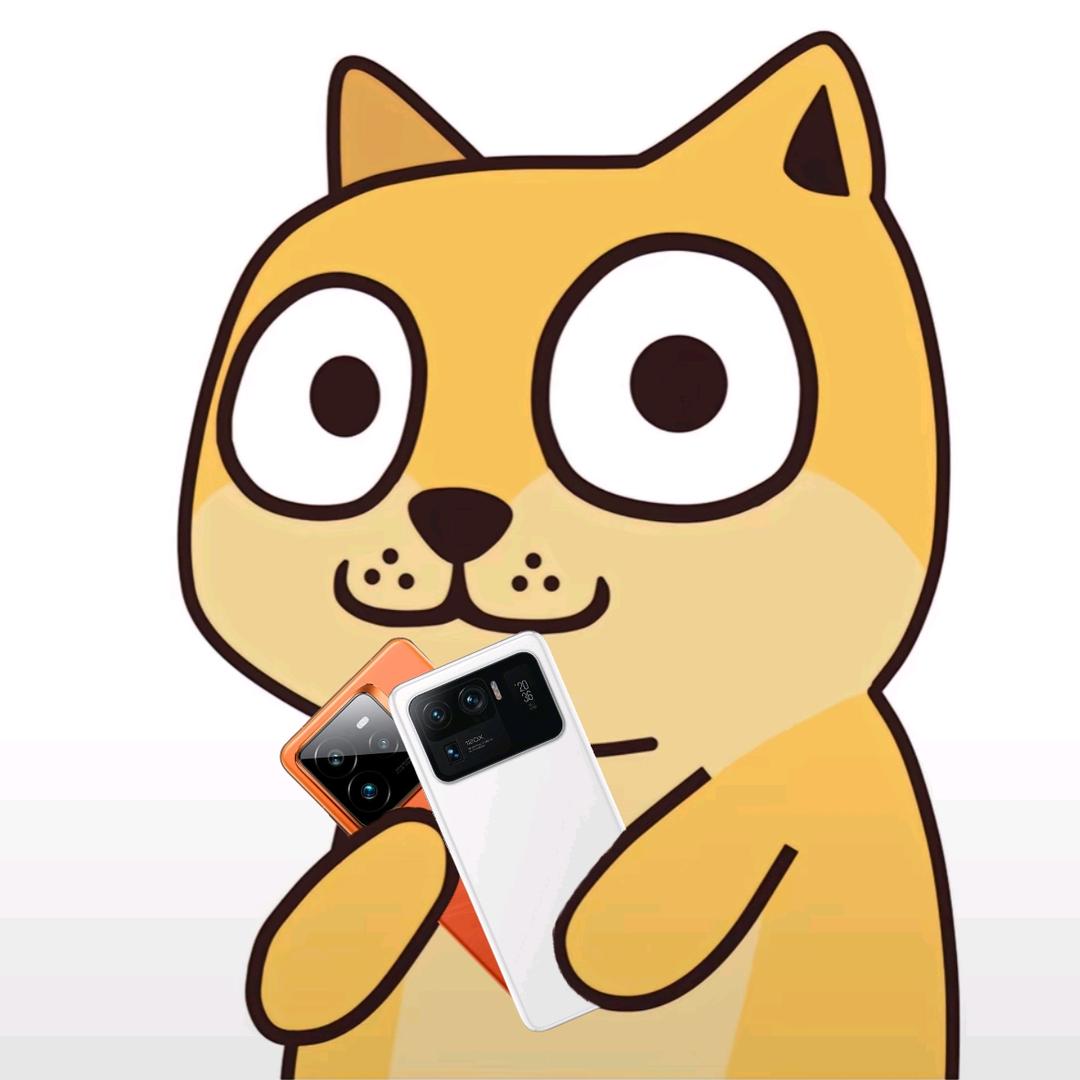 鱼仔Rou