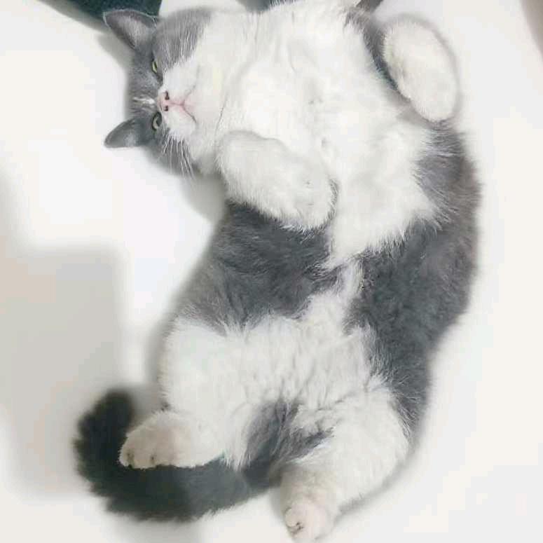 清风伴蝉鸣