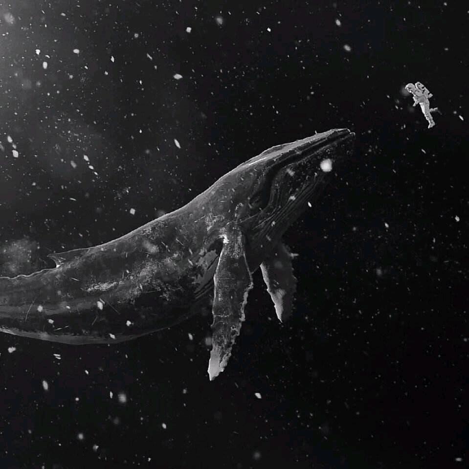 🌖