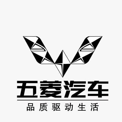 五菱宝骏售后服务（利辛店）