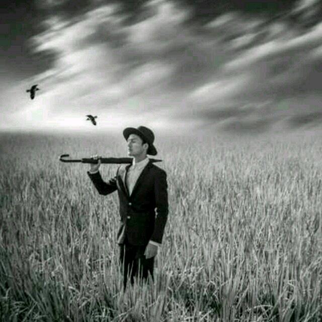 1234追随自己的梦想1234